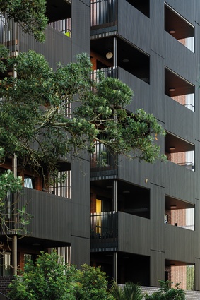 The depth of the balcony balustrading screens the occupants from oblique views while still enabling direct views through and out from both the balcony and the apartment interior. 