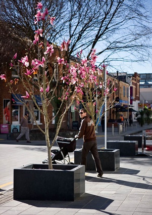 "The upgrade of Newmarket streetscape utilises a clean and sophisticated palette of materials that compliments rather than distracts from the re-vitalised retail outlets," said the judges.