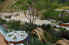 Kiwi blooms at Shenzhen flower show