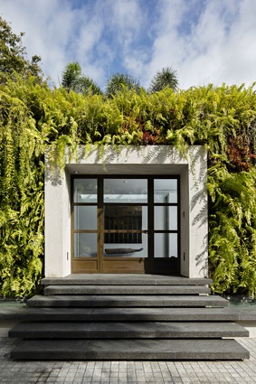 Lush greenery encloses and softens the concrete entranceway.
