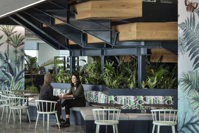 The concept for the Warren and Mahoney design of ANZ Raranga Sylvia Park formed around a question asked in the original brief, “What is the ideal workplace of 2025?”.