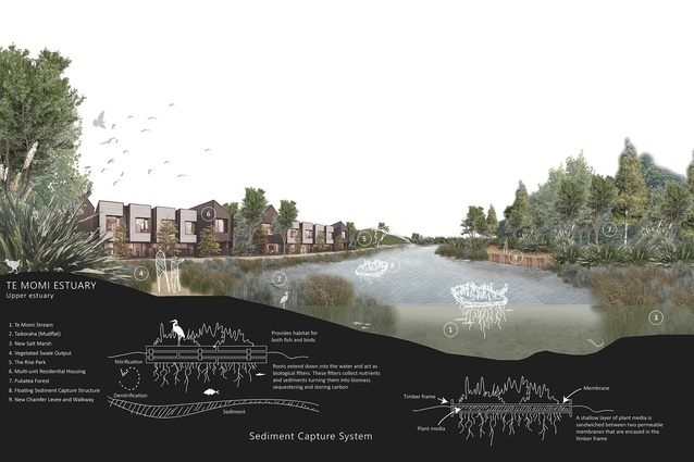 Te Momi Estuary Carbon Sequestration Habitat Creation by Connor Mckeown: this multidimensional carbon sequestration proposal intensifies housing density amidst lively forest and wetland and recreational ecologies offering spatial justice to many species, including the human.