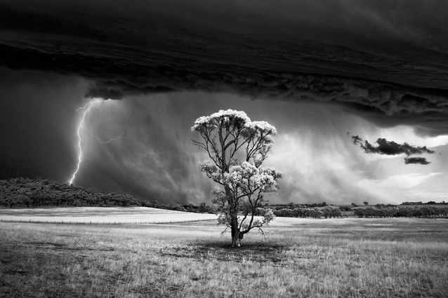 The winner of the International Landscape Photograph of the Year (awarded for a single image) is Luke Tscharke from Australia.