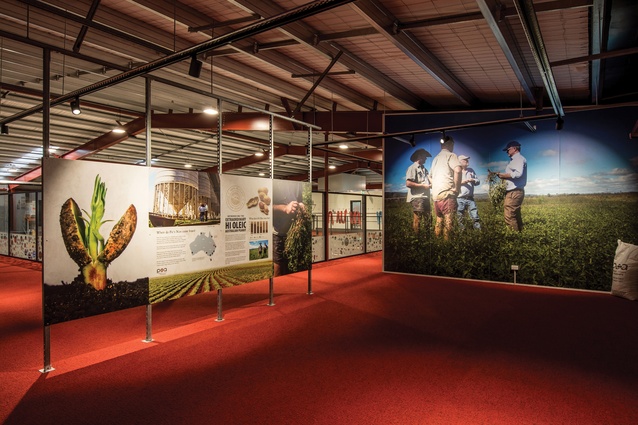 An exhibition space offers educational material on the peanuts sourced by Pic’s.