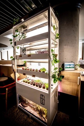 The EY Centre also features a wall garden, where tenants can take home fresh-grown herbs.