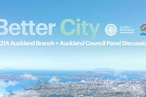 Better City hui calls for quality intensification.