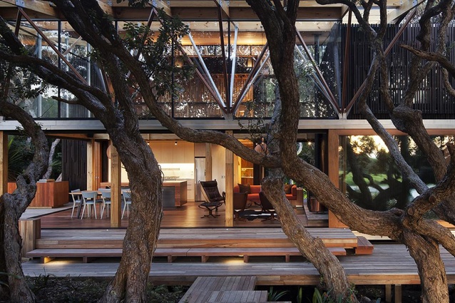 Under the Pohutukawa house, Herbst Architects.