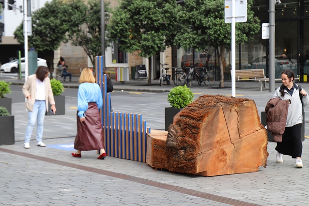 Resene Total Colour Landscape Colour Maestro Award winner, Ka Mua Ka Muri (Tree Trunk Bench) by Boffa Miskell.