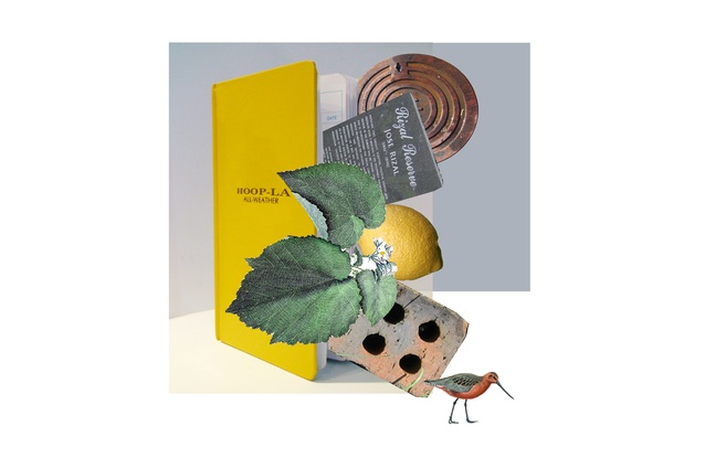 Participants will be taking notes on the Te Whau Pathway construction in their limited edition HOOP-LA Field Books.