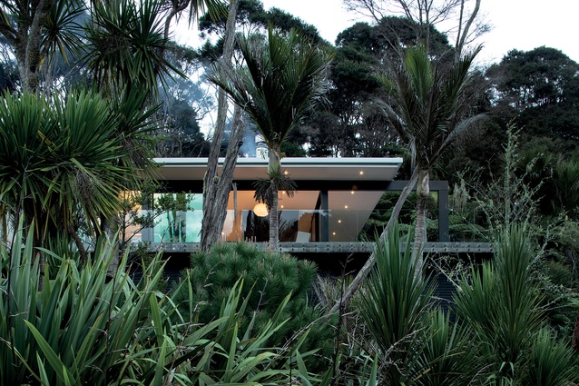 The clean, modernist structure of the pavilion is framed by Titirangi’s lush native foliage. 