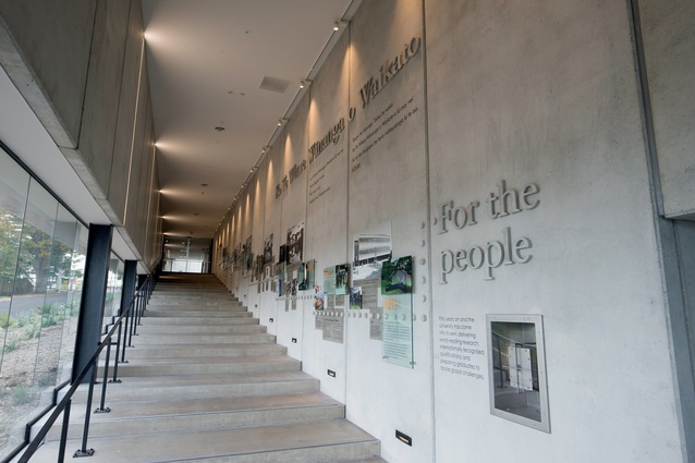 The ceremonial stairway to the lower floor features a display of the university's history along its walls. 