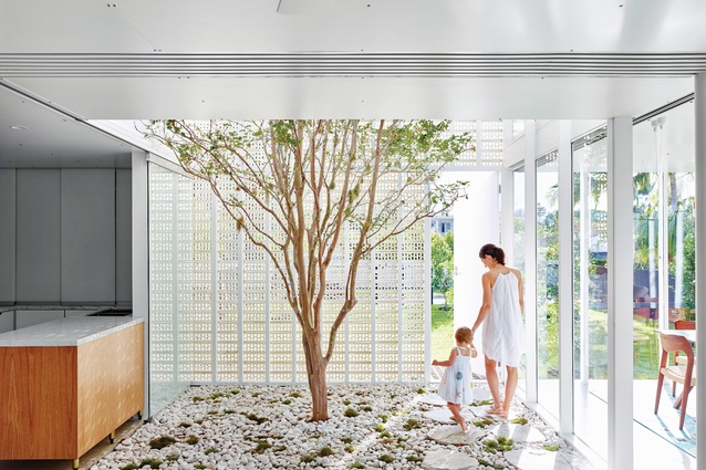 Naranga Avenue House is entered through the extruded brick facade to a double-height patio with a crepe myrtle tree at its centre.