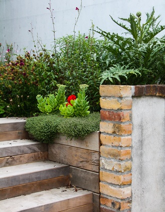 Totara sleeper steps integrated into existing brick wall. Woolly thyme spills over the wall and globe artichokes and sedum provide structure in the soft plantings of flowering perennials.
