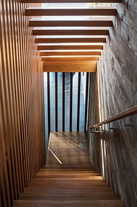 The staircase rises three floors from the entry gallery and gives the home a backbone.