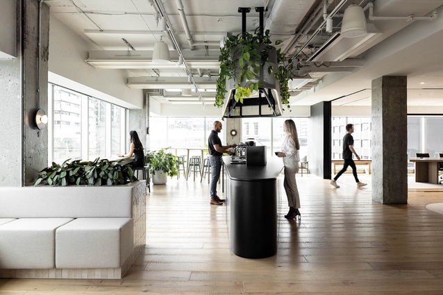TSA Riley Auckland office (2023).