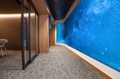 BNZ refurbishment project: Elevating spaces with wool carpet tiles