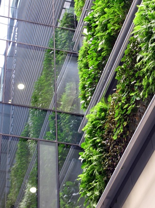 2011 living wall at Britomart Precinct, Auckland. It has performed consistently for years, improving the buildings value while also connecting the tenants with nature.