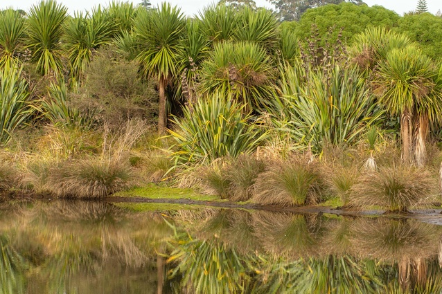 The Pukehina project involves a major-scale land use change.
