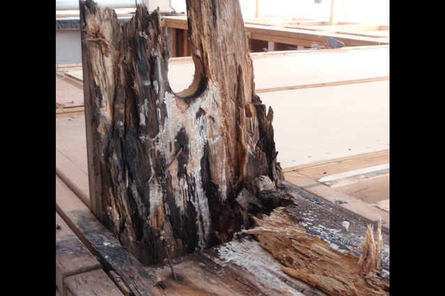 An extreme example of what happens when untreated timber is kept wet.