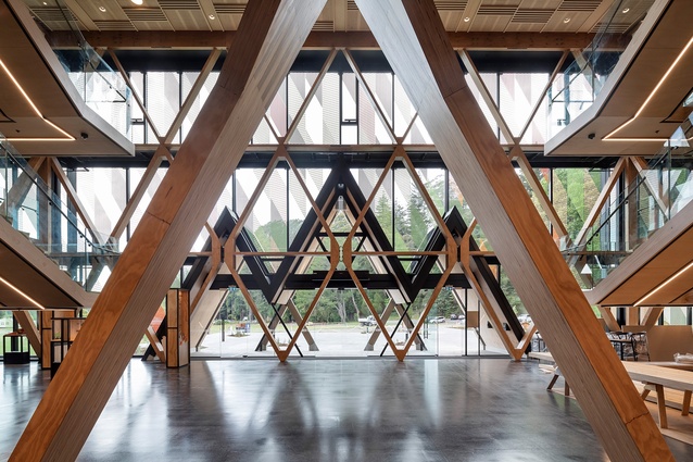 The Innovation Hub’s atrium features a diagrid array of diamond and triangular frames.