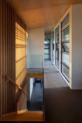 The first floor hallway is dappled in early evening light that shines through floor-to-ceiling glazing. 