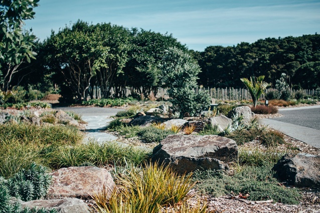 Feature areas, such as the Lower Lake edge deck incorporate seating, stepping stones and precast components with texture, patterning and vertical definition that assist with wayfinding recognition.