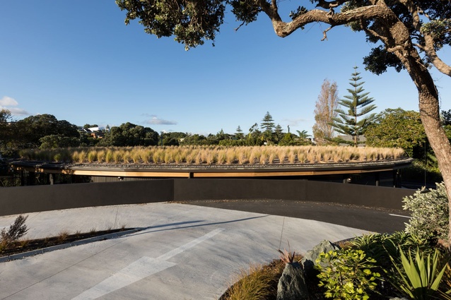 The roof is planted out in grasses which change tone according to the seasons.