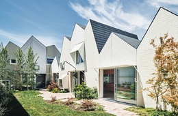 Cacophony of roofs: Rae Rae House