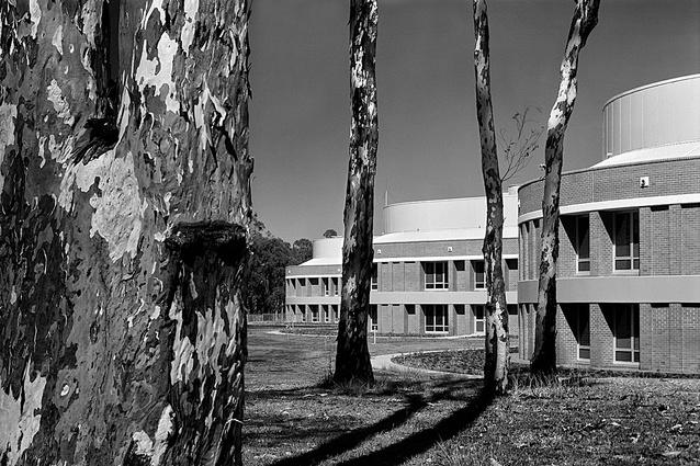 Carving: Fairfield Hospital, Sydney, NSW (1989).