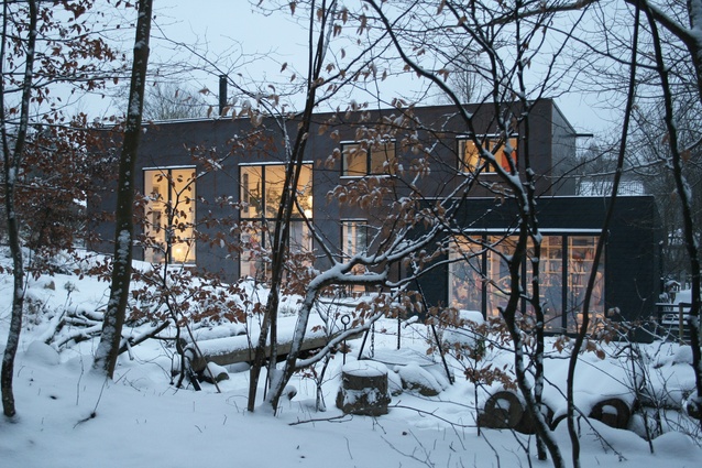 Concealed by trees, the home’s dark exterior belies the light-filled space behind its walls.