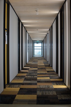 Corridors maximise views outside and are colour-coded on each floor to enable better wayfinding. 
