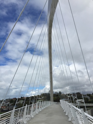 View down the 300-metre Te Whitinga footbridge. The bridge has an elegant sculpted arch in white steel.