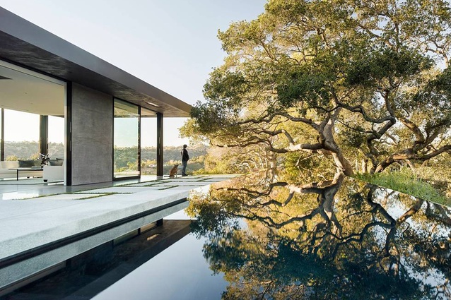The surface of the pool mirrors the home’s namesake trees.