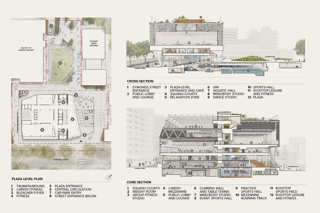 Site plan and sections.