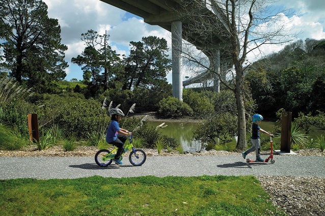 The Waterview Connection Project saw the creation of cycleways and pedestrian walkways interwoven between native regeneration and motorways.
