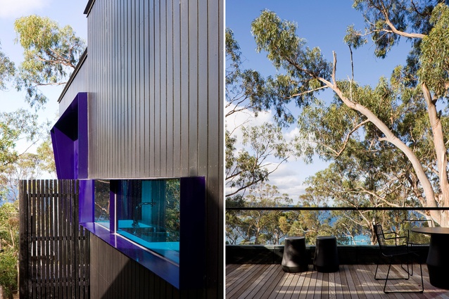 TreeHouse, Melbourne, Australia by FMD Architects, 2009. The home has a close connection with nature and works around several eucalyptus trees. 