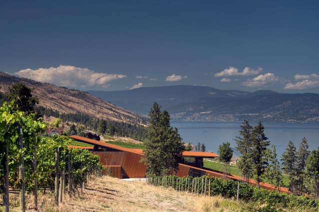 Martin's Lane winery in Canada by Olson Kundig Architects. The building's design slopes down the site's hill that allows the makers to utilise gravity-flow wine-making methods.