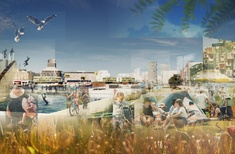 A new harbourside park for Auckland