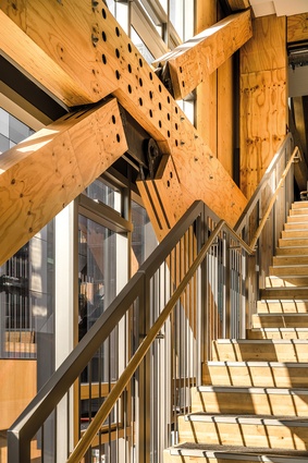 Timber K brace at University of Canterbury’s Beatrice Tinsley building.
