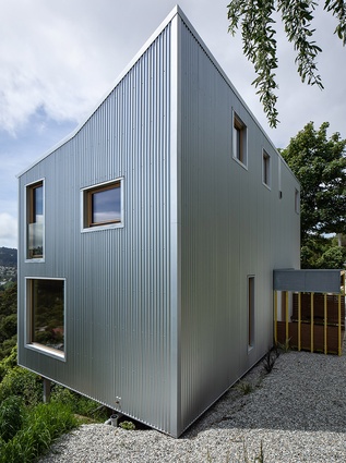 Winner: Housing – Kōwhai House by Rafe Maclean Architects.