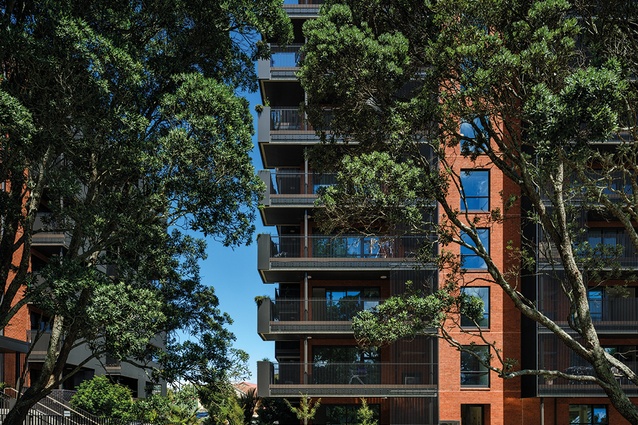 At ground level, the balconies are made as solid-walled enclosures for which Architectus acknowledges the precedent of Bruno Taut’s Grellstrasse.
