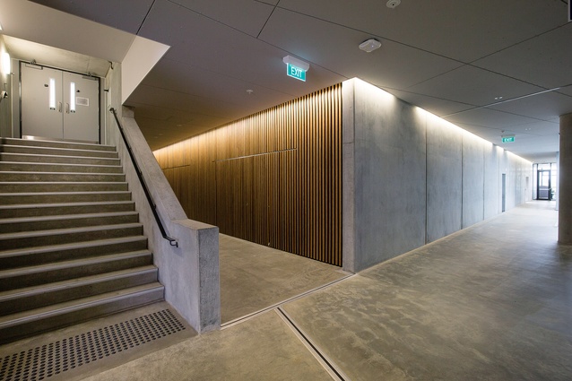 The subterranean corridor and stairwell feature wall rather than ceiling-mounted lights and timber-clad feature walls, adding drama to the somewhat brutalist atmosphere. 