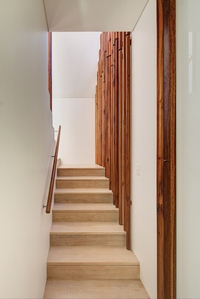 A concealed stair leads to the upper-storey bedrooms, the warmth of the timber “tree trunks” repeated in the handrail.