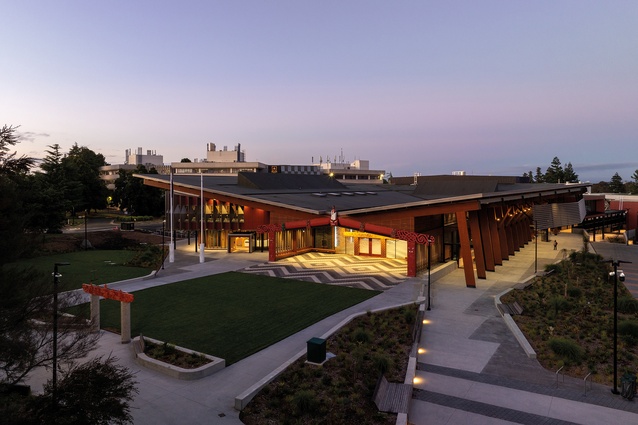 Towards the pōwhiri section of waharoa, lawn ātea, front mahau, wharenui, near mahau, the student hub, and the Faculty of Māori and Indigenous Studies. In the foreground are heroically scaled raised garden beds that balance the roof mass and frame the ātea, which can accommodate a 700sqm marquee.