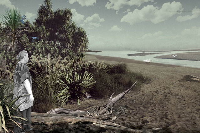 Protecting our coastal dunes, again on the Kuku Waikawa coastline. 