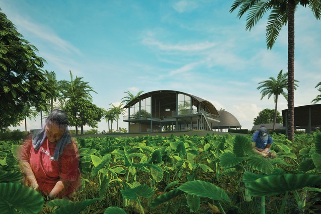 2024 Te Kāhui Whaihanga New Zealand Institute of Architects Resene Student Design Award, highly commended: ‘Nofoaga Natia (A Hidden Place)’ Plantation Perspective by Ethan Hansell-Hunt.