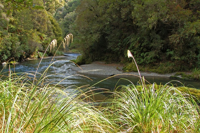 Boffa Miskell calls for greater application of mātauranga Māori in freshwater management