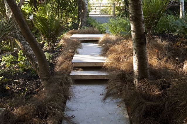 Floating concrete path flanked by masses of grasses.