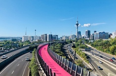 How Auckland can get its mojo back