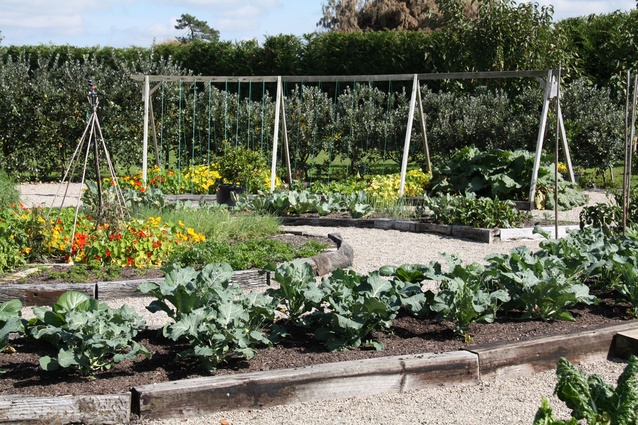 A Xanthe White Design garden brimming with fresh produce.